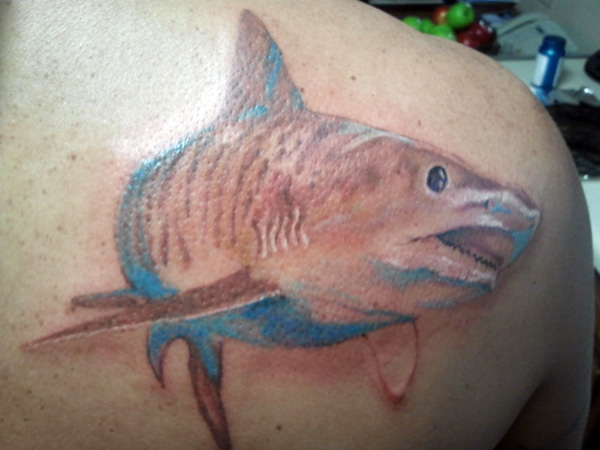 Classic Shark Tattoo On Right Back Shoulder