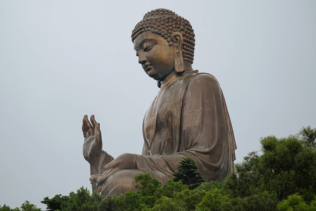 Closer View Of Tian Tan Buddha Statue
