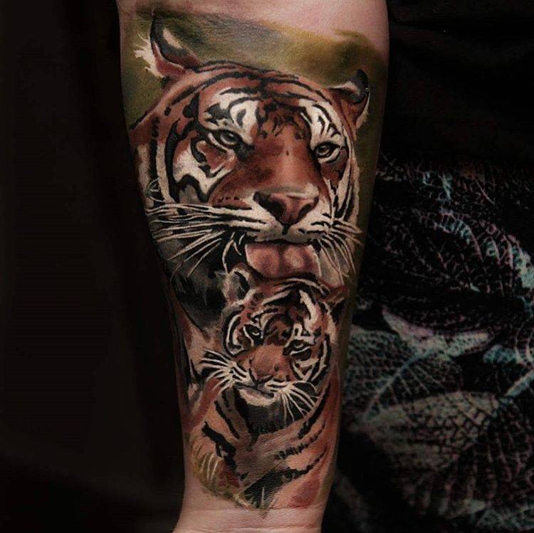 Colored Tiger And Baby Tiger Tattoo On Forearm