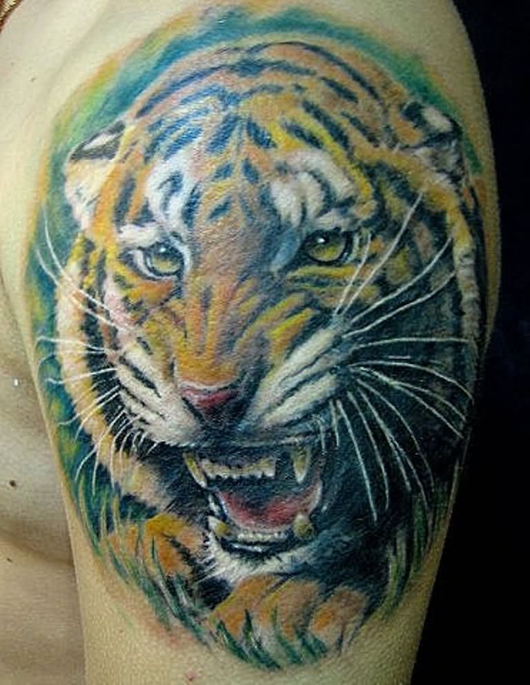 Colored Tiger Face Tattoo On Man Left Shoulder