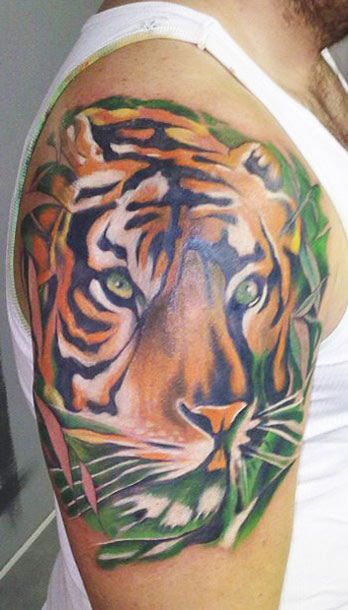 Colored Tiger Face Tattoo On Man Right Shoulder