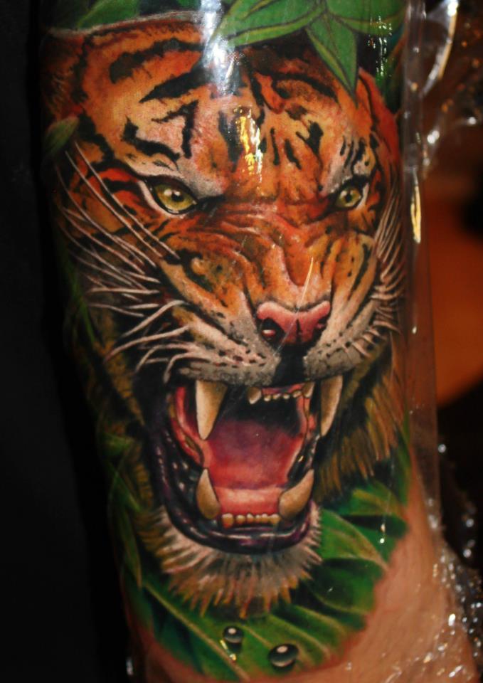 Colored Tiger Head Tattoo On Bicep by Christopher Allen