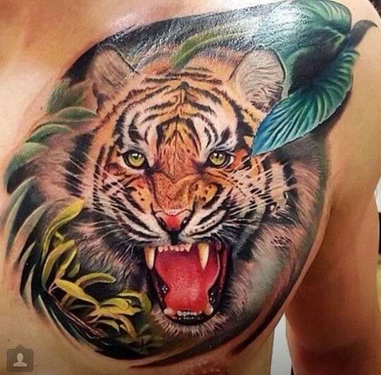 Colorful Angry Tiger Head Tattoo On Man Chest