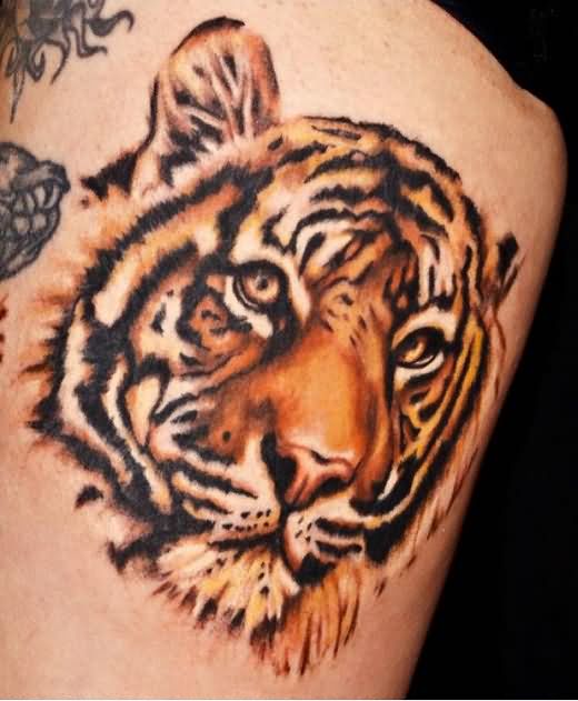 Colorful Tiger Head Tattoo On Side