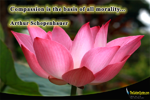 Compassion is the basis of all morality… Arthur Schopenhauer