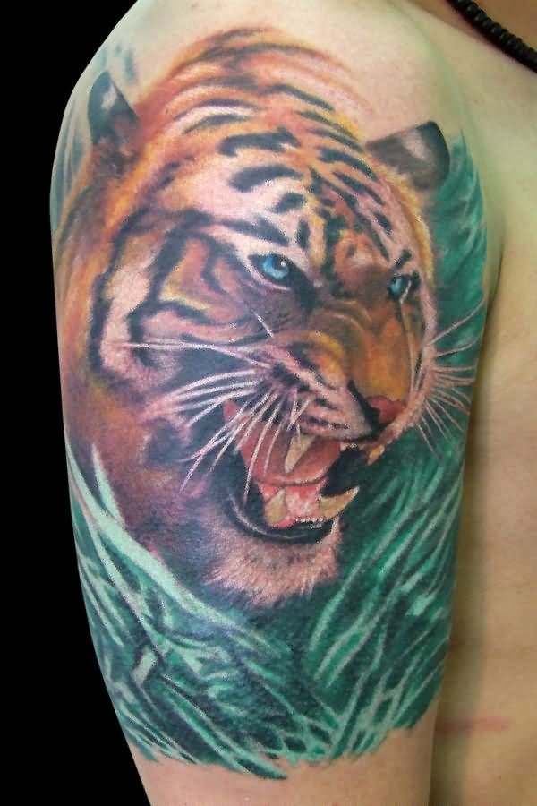 Cool Asian Tiger Tattoo On Right Half Sleeve