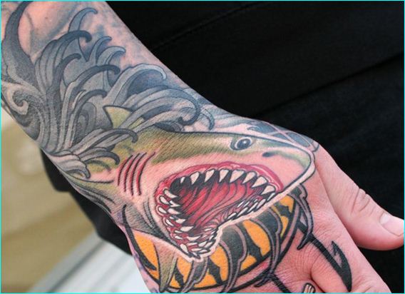 Cool Traditional Shark Tattoo On Right Hand