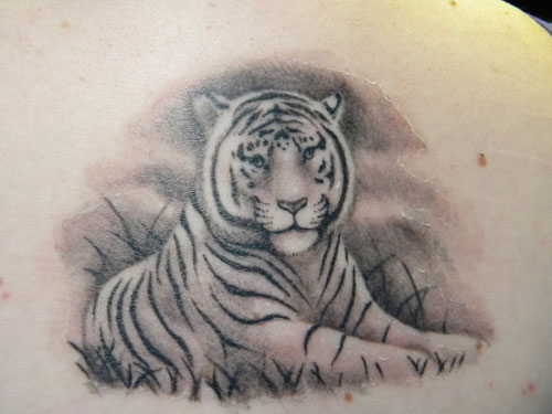Cute White Tiger Tattoo On Back