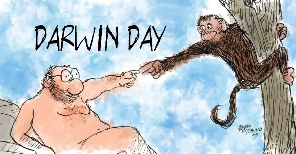 Darwin Day Monkeys Picture