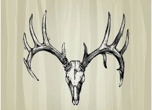 Deer Antler Skull Tattoo Design