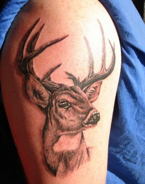 Deer Antler head Tattoo On Right Shoulder
