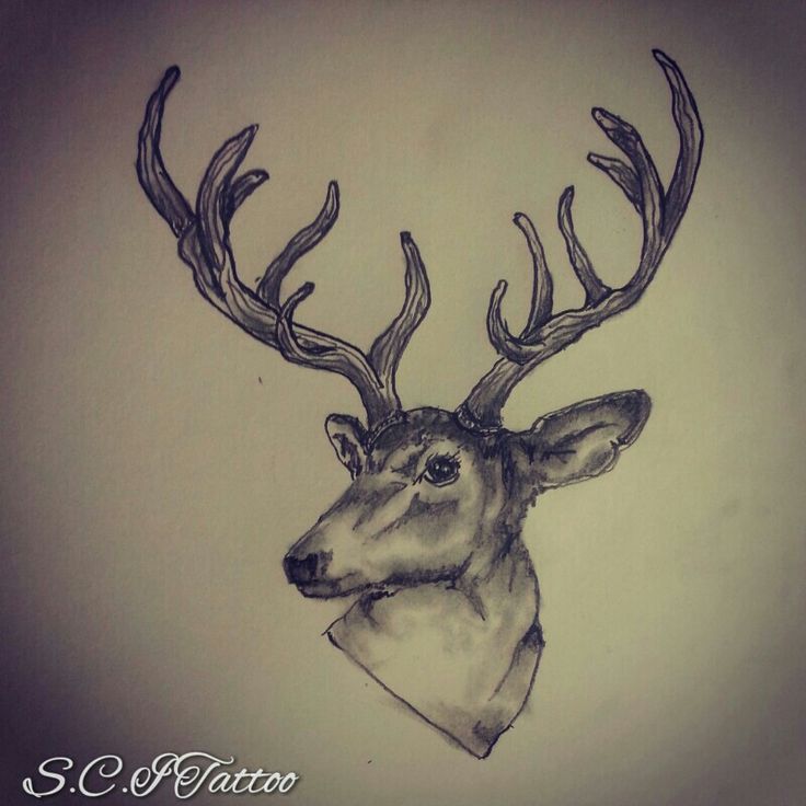 Deer Head Antler Tattoo Design by S.c J Tattoo
