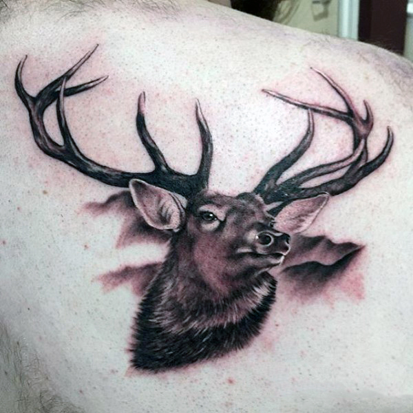 Deer Head Tattoo On Right Back Shoulder