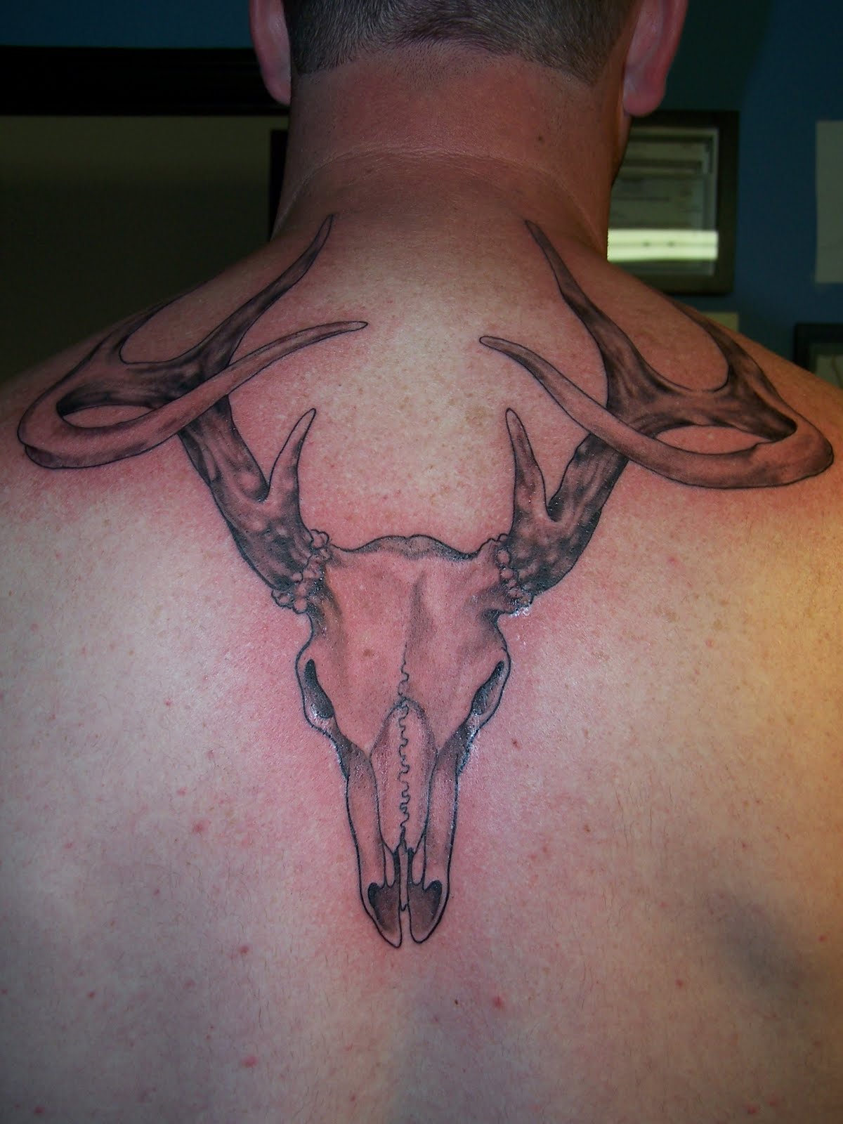 Deer Skull Antlers Tattoo On Man Upper Back