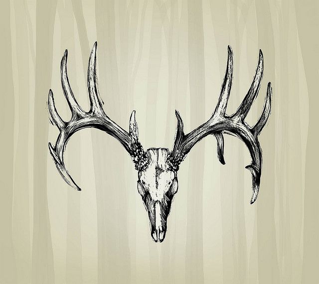 Deer Skull Tattoo Design Sample