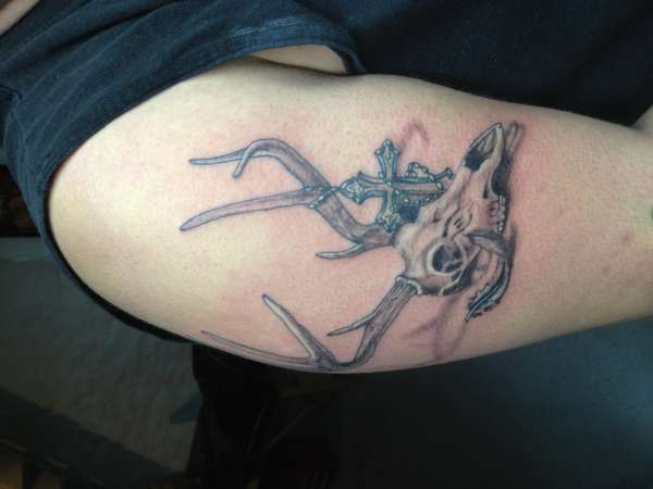 Deer Skull Tattoo On Right Bicep