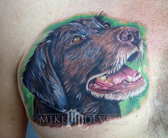 Dog Head Portrait Tattoo On Man Right Chest By Mike Devries