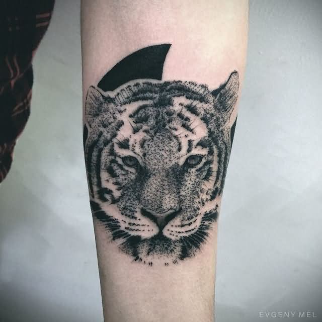Dotwork Tiger Head Tattoo On Forearm