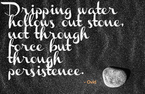 Dripping water hollows out stone, not through force but through persistence. Ovid