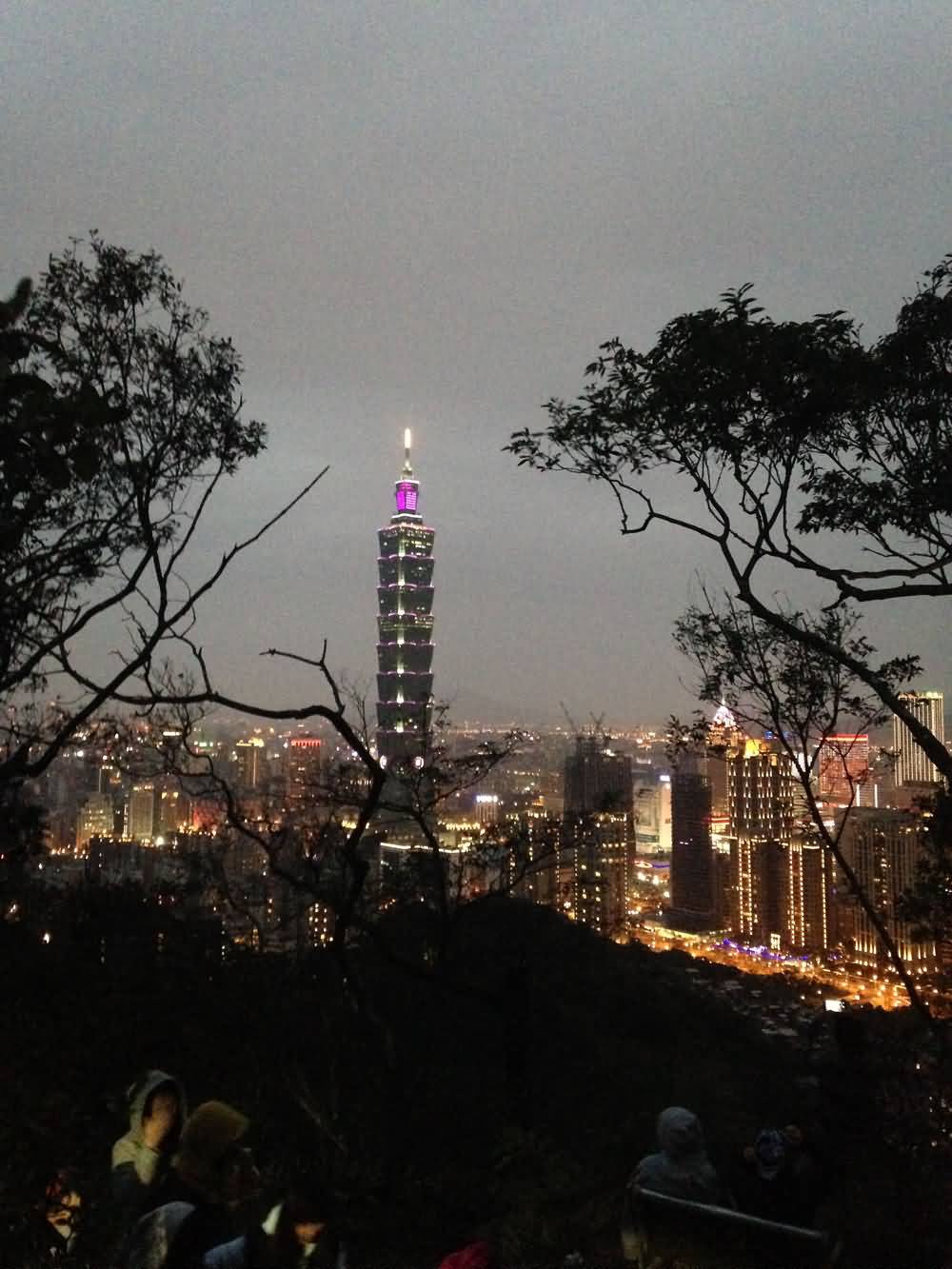 Far View Of The Taipei 101 Tower With Night Lights
