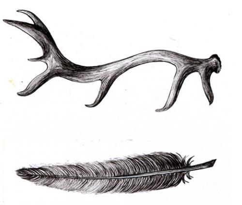 Feather And Deer Antler Tattoo Design