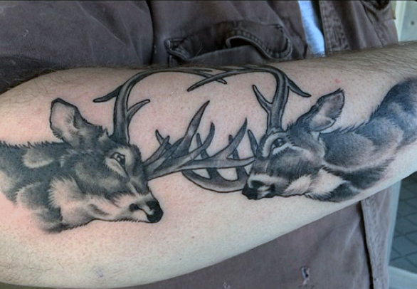 Fighting Deer Antler Tattoos On Right Arm