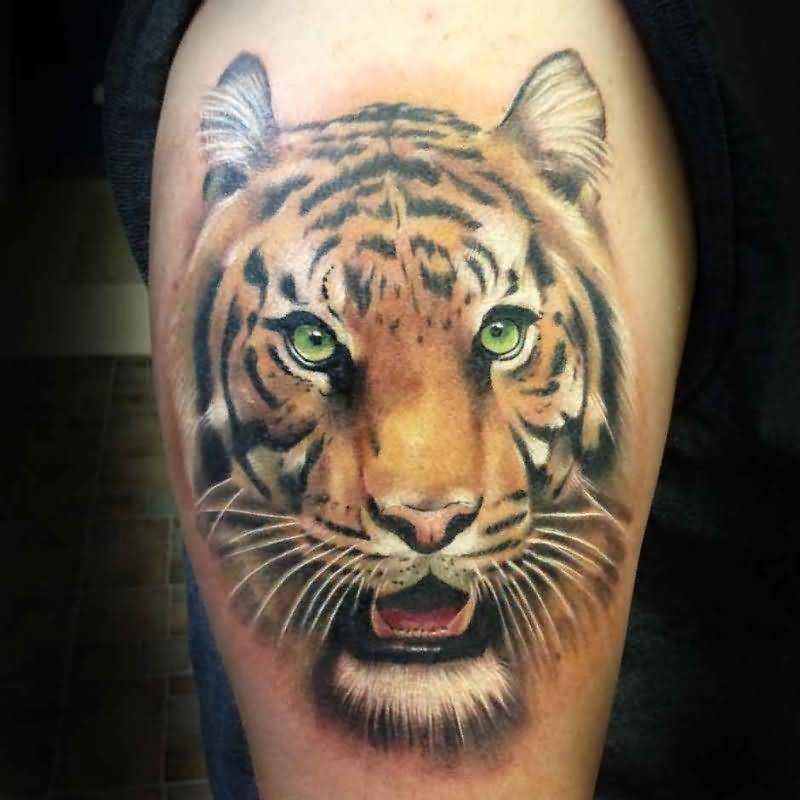 Green Eyes Tiger Face Tattoo On Bicep