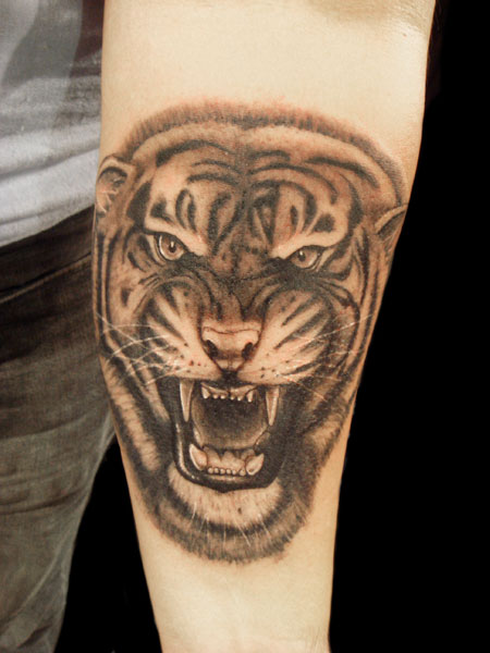 Grey And Black Tiger Tattoo On Arm