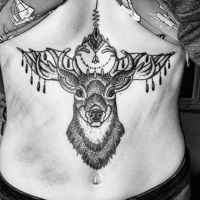 Grey Deer Head Tattoo On Stomach