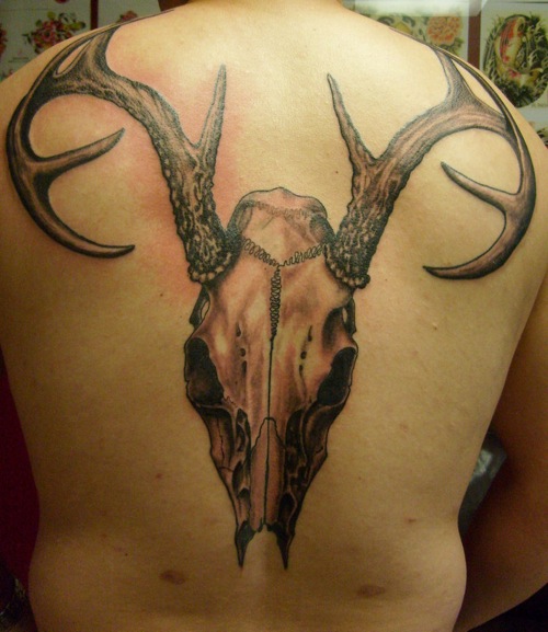 Grey Deer Skull Tattoo On Full Back