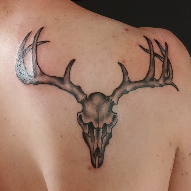 Grey Deer Skull Tattoo On Right Back Shoulder