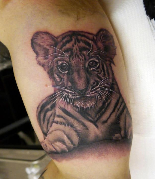 Grey Ink Baby Tiger Tattoo On Bicep