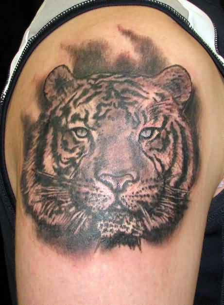 Grey Ink Black And Grey Tiger Tattoo On Shoulder