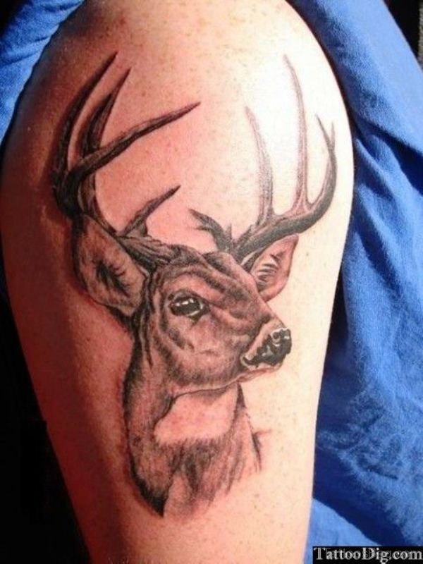 Grey Ink Deer Head Tattoo On Right Shoulder