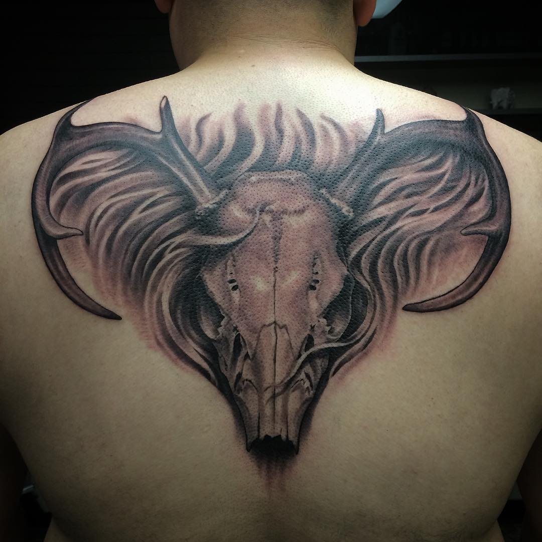 Grey Ink Deer Skull Tattoo On Man Upper Back