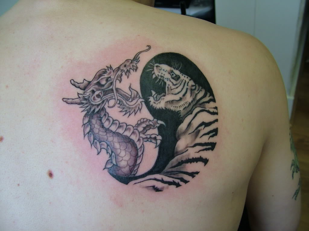 Grey Ink Dragon And Chinese Tiger Tattoo On Right Back Shoulder