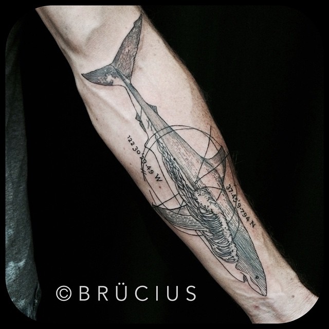 Grey Ink Shark Tattoo On Left Forearm