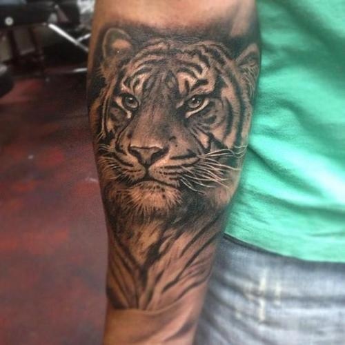 Grey Ink Tiger Face Tattoo On Forearm