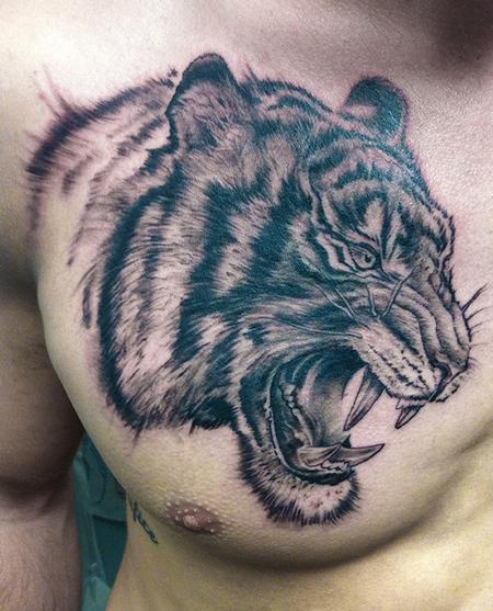 Grey Ink Tiger Head Man Chest Tattoo