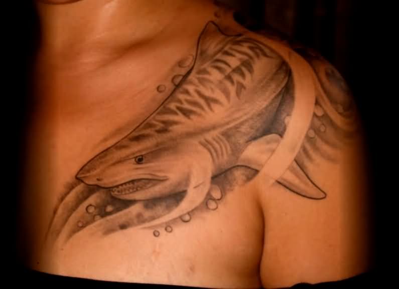 Grey Ink Tiger Shark Tattoo On Left Front Shoulder