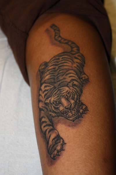 Grey Ink Tiger Tattoo On Forearm