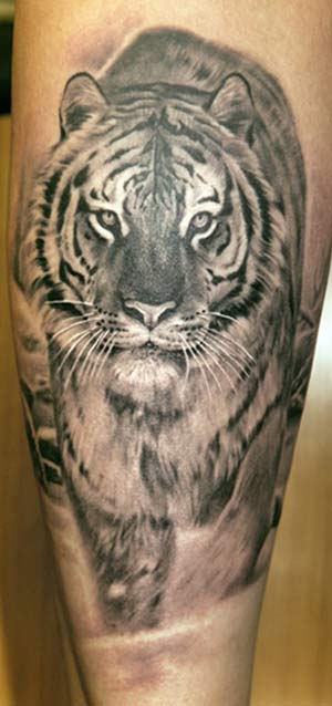Grey Ink Tiger Tattoo On Leg