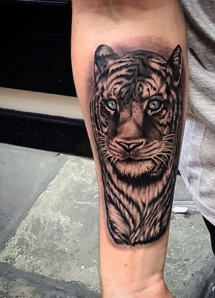 Grey Ink Tiger Tattoo on Right Forearm