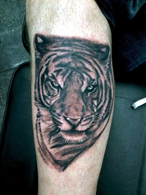 Grey Ink Wild Tiger Face Tattoo On Side Leg