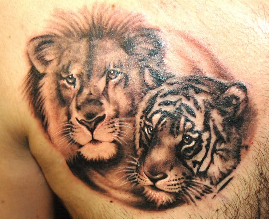 Grey Lion Head And Tiger Head Tattoos For Men