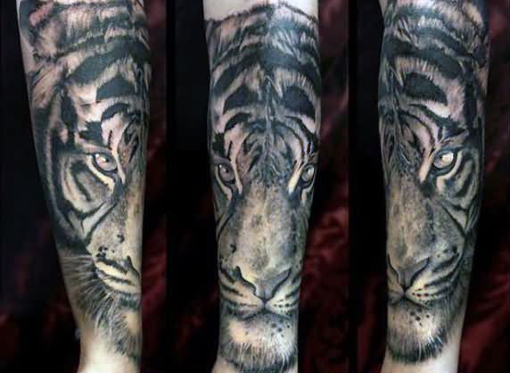 Grey Tiger Face Tattoo On Forearm