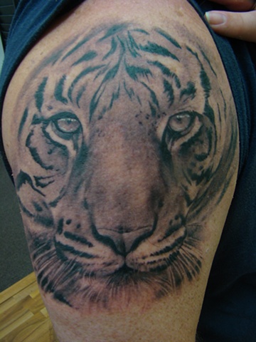Grey Tiger Head Tattoo On Right Shoulder