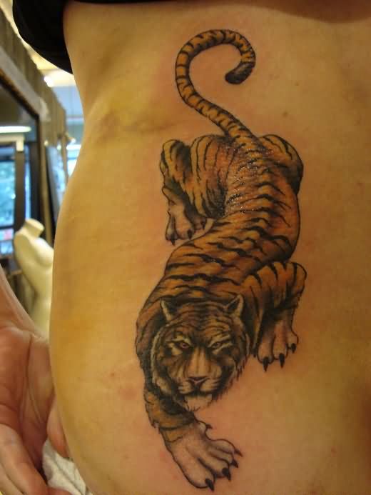 Grey Tiger Tattoo On Girl Back