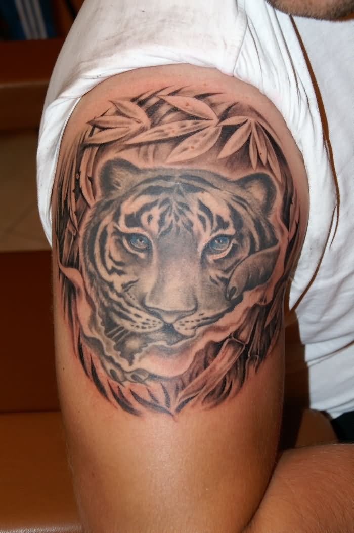 Grey leaves And Tiger Face Tattoo On Man Right Shoulder