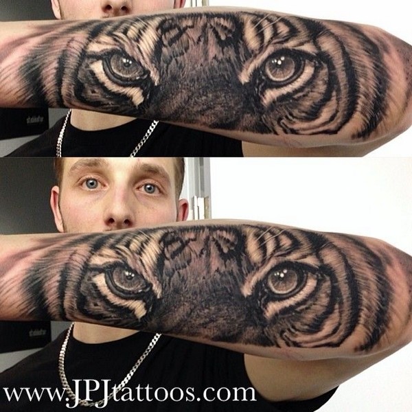 Guy Showing His Tiger Tattoo On Left Forearm by JPJ Tattoos
